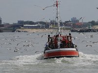 NL, Zuid-Holland, 's-Gravenhage, Scheveningen 1, Saxifraga-Norman Deans van Swelm