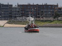 NL, Zuid-Holland, 's-Gravenhage, Scheveningen 2, Saxifraga-Norman Deans van Swelm