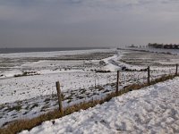 NL, Zuid-Holland, Goeree-Overflakkee, Bommelse Gorzen 1, Saxifraga-Peter Meininger