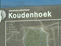 NL, Zuid-Holland, Goeree-Overflakkee, Koudenhoek 1, Saxifraga-Jan van der Straaten