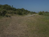 NL, Zuid-Holland, Goeree-Overflakkee, Kwade Hoek 1, Saxifraga-Jan van der Straaten