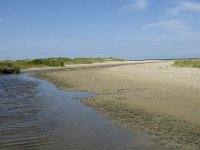 NL, Zuid-Holland, Goeree-Overflakkee, Kwade Hoek 21, Saxifraga-Willem van Kruijsbergen