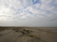 NL, Zuid-Holland, Goeree-Overflakkee, Kwade Hoek 62, Saxifraga-Bart Vastenhouw