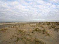 NL, Zuid-Holland, Goeree-Overflakkee, Kwade Hoek 63, Saxifraga-Bart Vastenhouw