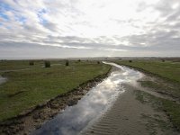 NL, Zuid-Holland, Goeree-Overflakkee, Kwade Hoek 66, Saxifraga-Bart Vastenhouw