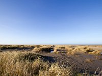 NL, Zuid-Holland, Goeree-Overflakkee, Kwade Hoek 78, Saxifraga-Bart Vastenhouw