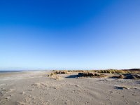 NL, Zuid-Holland, Goeree-Overflakkee, Kwade Hoek 79, Saxifraga-Bart Vastenhouw