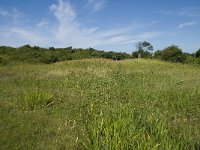 NL, Zuid-Holland, Goeree-Overflakkee, Kwade Hoek 9, Saxifraga-Willem van Kruijsbergen