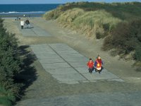 NL, Zuid-Holland, Goeree-Overflakkee, Ouddorp 4, Saxifraga-Jan van der Straaten