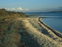 NL, Zuid-Holland, Goeree-Overflakkee, Preekhilpolder 5, Saxifraga-Jan van der Straaten