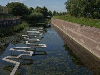 NL, Zuid-Holland, Gorinchem, Duveltjesgracht 1, Saxifraga-Jan van der Straaten