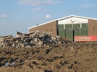 NL, Zuid-Holland, Hoeksche Waard, Tiengemeten, Middenpolder 1, Saxifraga-Jan van der Straaten
