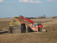 NL, Zuid-Holland, Korendijk, Tiengemeten, Mariapolder 3, Saxifraga-Jan van der Straaten