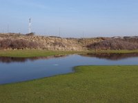 NL, Zuid-Holland, Noordwijk, Oude Golf 2, Saxifraga-Jelle van Dijk