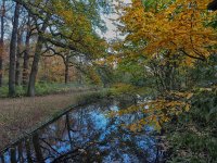 NL, Zuid-Holland, Rijswijk, Overvoorde 1, Saxifraga-Dirk Hilbers