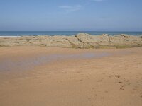 E, Cantabria, Liencres, Dunas de Liencres 36, Saxifraga-Willem van Kruijsbergen