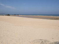 E, Cantabria, Liencres, Dunas de Liencres 47, Saxifraga-Willem van Kruijsbergen