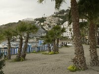 E, Granada, Almunecar 14, Saxifraga-Willem van Kruijsbergen