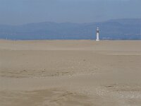 E, Tarragona, Deltebre, El Fangar 13, Saxifraga-Jan van der Straaten