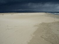 E, Tarragona, Deltebre, El Fangar 40, Saxifraga-Marijke Verhagen