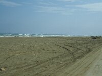 E, Tarragona, Deltebre, Punta de la Banya 10, Saxifraga-Jan van der Straaten