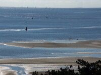 NL, Friesland, Terschelling, Kaapsduin 3, Saxifraga-Sytske Dijksen
