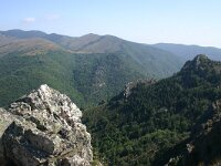 F, Gard, Dourbies 1, Saxifraga-Dirk Hilbers