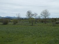 F, Haute-Loire, Cayres 8, Saxifraga-Willem van Kruijsbergen