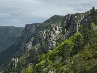 F, Lozere, Florac 7, Saxifraga-Willem van Kruijsbergen