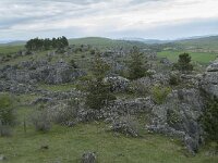 F, Lozere, Fraissinet-de-Fourques, Nimes-le-Vieux 26, Saxifraga-Willem van Kruijsbergen