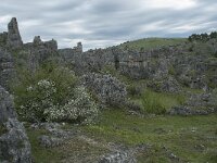 F, Lozere, Fraissinet-de-Fourques, Nimes-le-Vieux 31, Saxifraga-Willem van Kruijsbergen