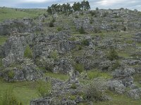 F, Lozere, Fraissinet-de-Fourques, Nimes-le-Vieux 32, Saxifraga-Willem van Kruijsbergen