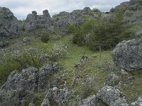 F, Lozere, Fraissinet-de-Fourques, Nimes-le-Vieux 33, Saxifraga-Willem van Kruijsbergen