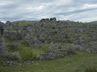 F, Lozere, Fraissinet-de-Fourques, Nimes-le-Vieux 34, Saxifraga-Willem van Kruijsbergen