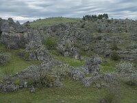 F, Lozere, Fraissinet-de-Fourques, Nimes-le-Vieux 38, Saxifraga-Willem van Kruijsbergen