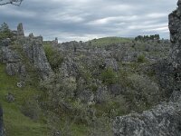 F, Lozere, Fraissinet-de-Fourques, Nimes-le-Vieux 40, Saxifraga-Willem van Kruijsbergen