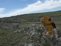 F, Lozere, Gatuzieres, Aures 11, Saxifraga-Willem van Kruijsbergen