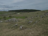 F, Lozere, Gatuzieres, Aures 16, Saxifraga-Willem van Kruijsbergen