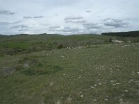 F, Lozere, Gatuzieres, Aures 6, Saxifraga-Willem van Kruijsbergen