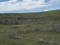 F, Lozere, Gatuzieres, Aures 8, Saxifraga-Willem van Kruijsbergen