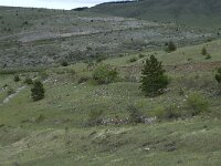 F, Lozere, Hures-la-Parade, Nivoliers 14, Saxifraga-Willem van Kruijsbergen