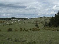 F, Lozere, Hures-la-Parade, le Villaret 8, Saxifraga-Willem van Kruijsbergen