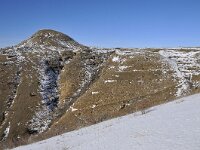 F, Lozere, Les Bondons, Mont-Lozere 2, Saxifraga-Elisabeth Raboin