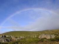 F, Lozere, Pont-de-Montvert 2, Saxifraga-Elisabeth Raboin