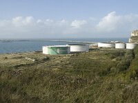 F, Seine-Maritime, Saint-Jouin-Bruneval 20, Saxifraga-Willem van Kruijsbergen