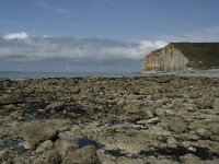 F, Seine-Maritime, Sassetot-le-Mauconduit, Les Petites Dalles 13, Saxifraga-Willem van Kruijsbergen