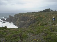 P, Beja, Odemira, Azenha do Mar 43, Saxifraga-Willem van Kruijsbergen