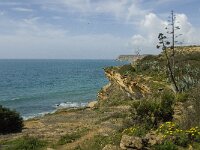 P, Faro, Burgau 8, Saxifraga-Jan van der Straaten
