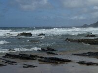 P, Faro, Vila do Bispo, Praia da Cordoama 89, Saxifraga-Willem van Kruijsbergen