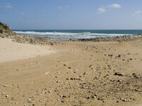 P, Faro, Vila do Bispo, Praia do Zavial 24, Saxifraga-Willem van Kruijsbergen